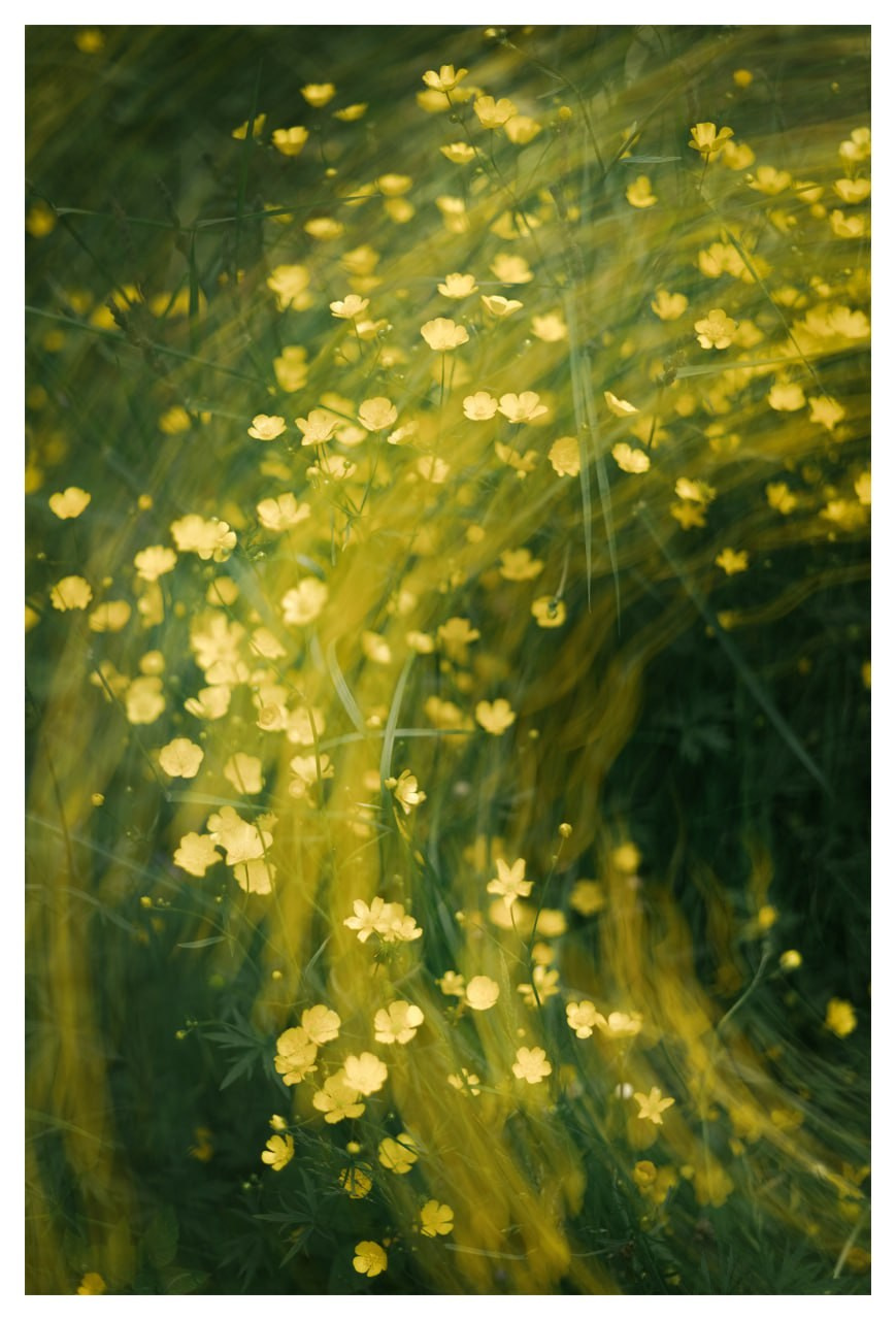 Облачный поток. Мастерская Демченко