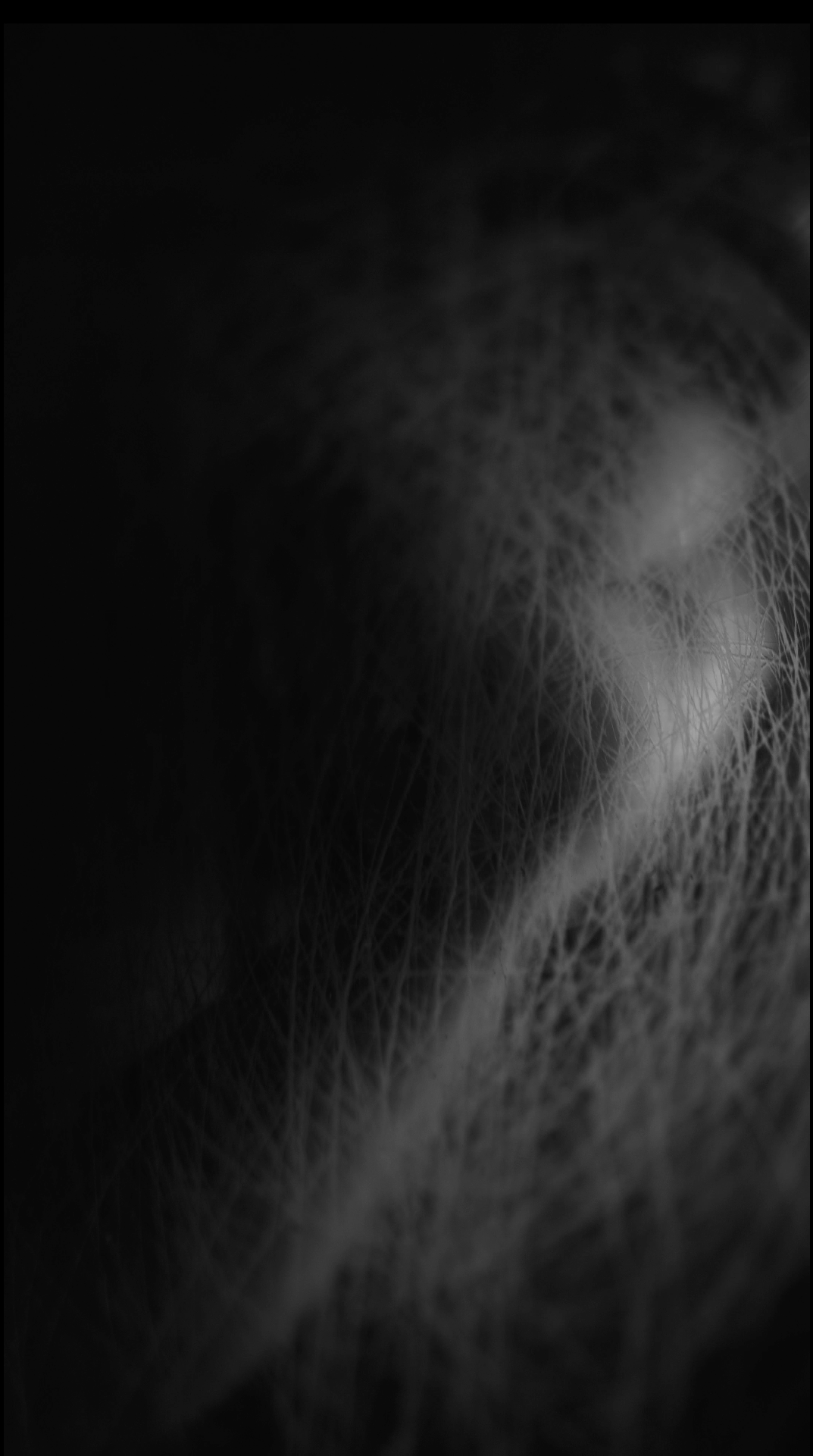 Видеоинсталляция Место Пробела. Художественная группа «Нежные Бабы»