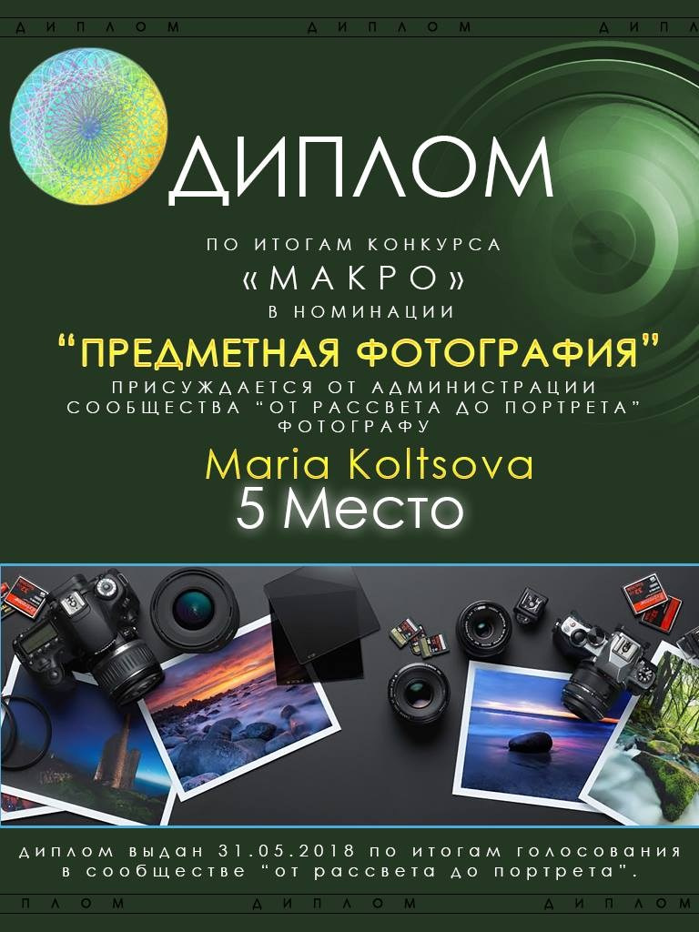 Фотограф Мария Кольцова