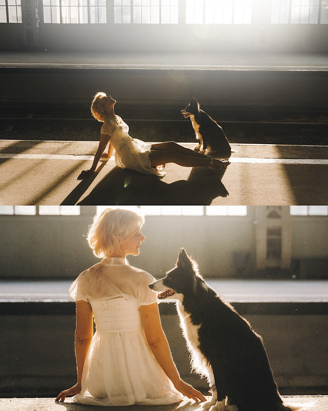 Таня, Марта и Клипса. Фотограф анималист в Москве и Санкт-Петербурге Свиридова Анна