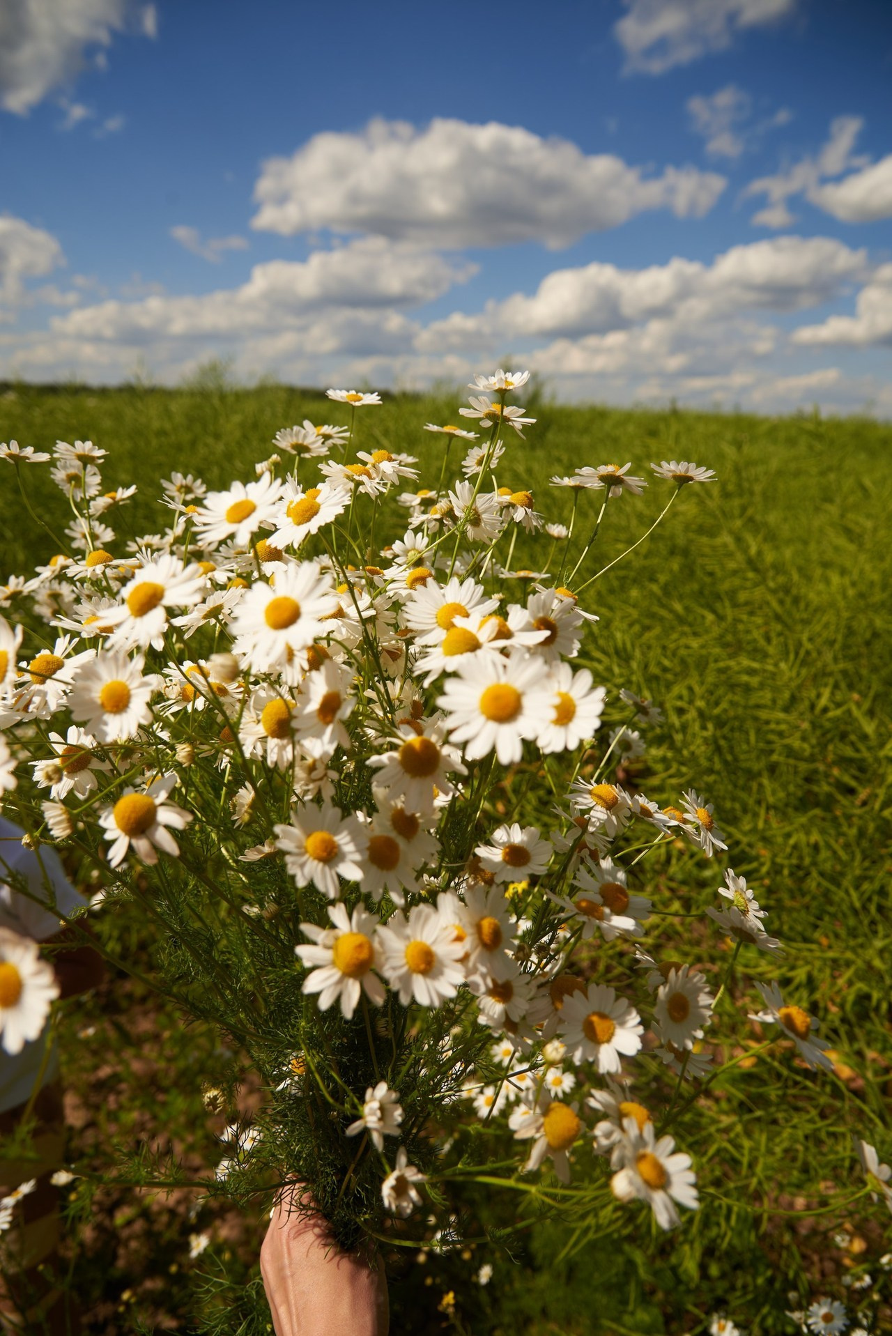 Отзывы. Фотограф Юлия Ремезова