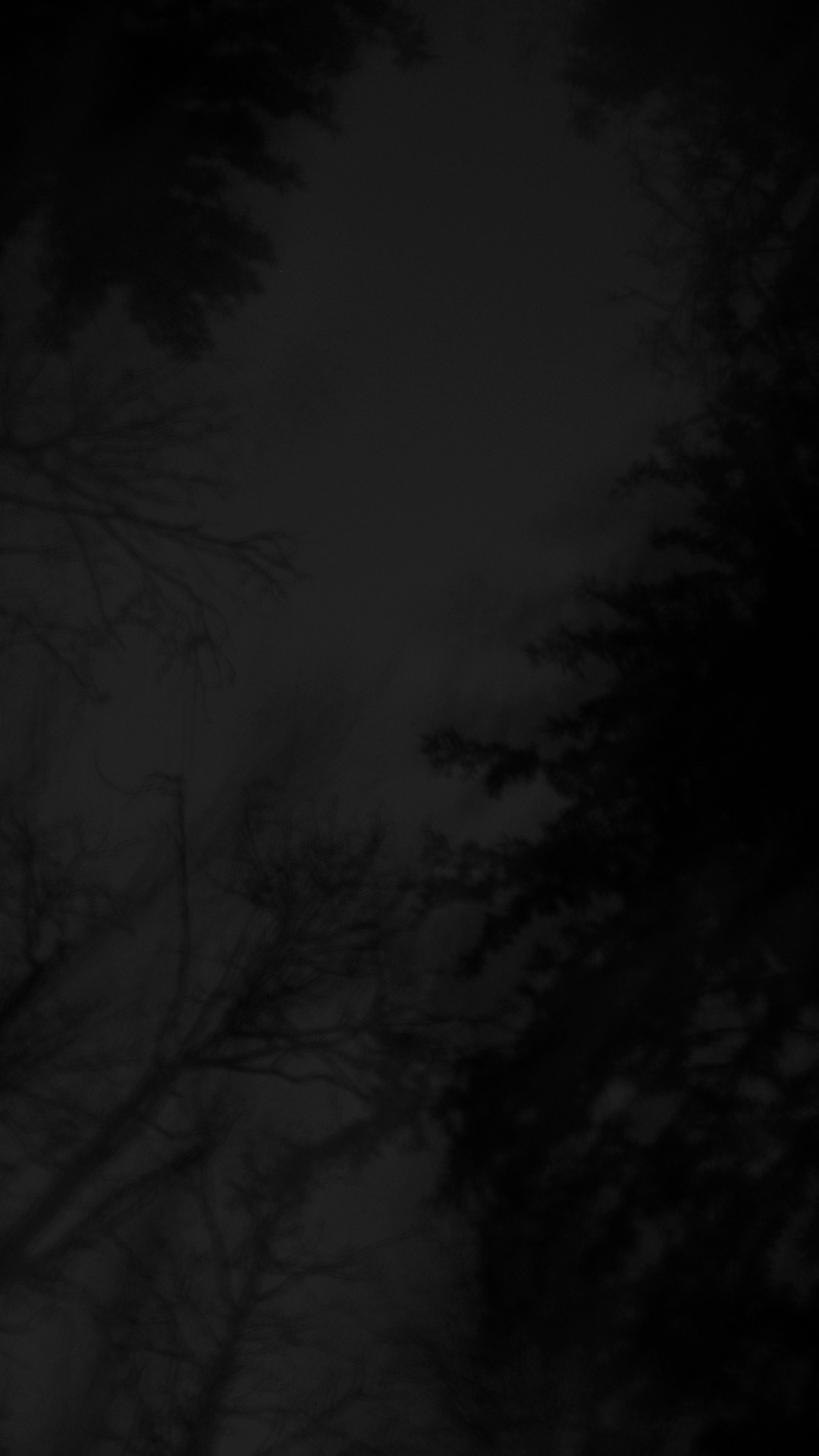 In forest. Vanyazaramkami