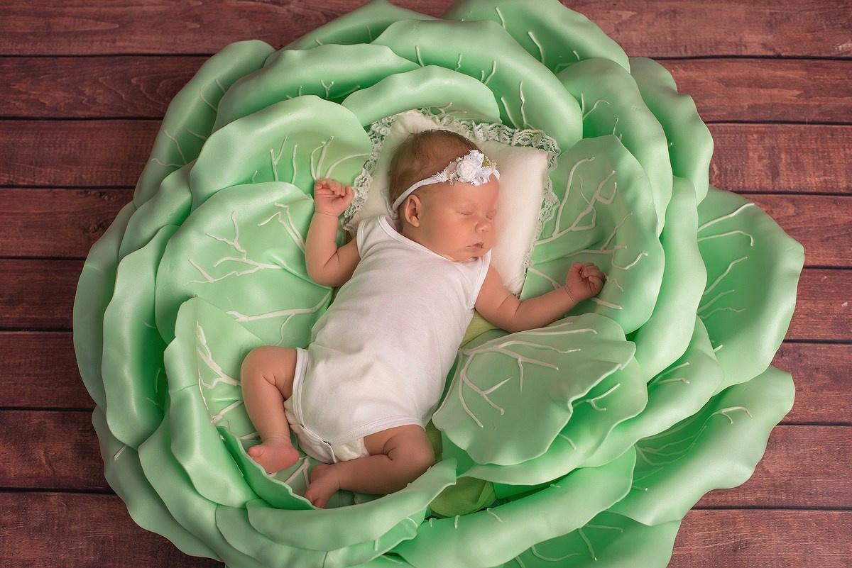 Съёмка новорождённых. Выпускные альбомы в Тутаеве.Захарова Лариса