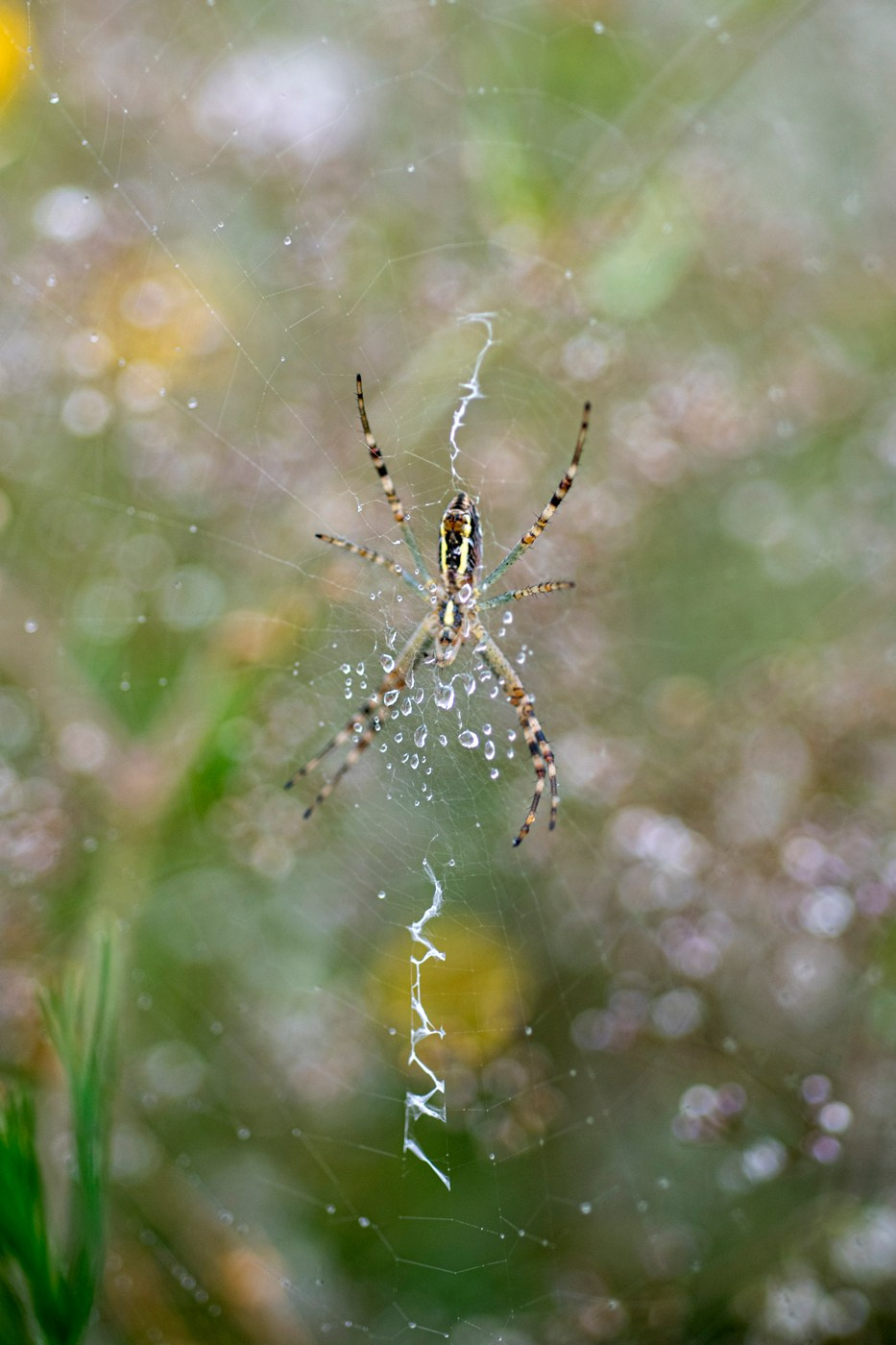 Фотопленэр на болоте. Фотообъединение Самарского областного отделения Союза журналистов России