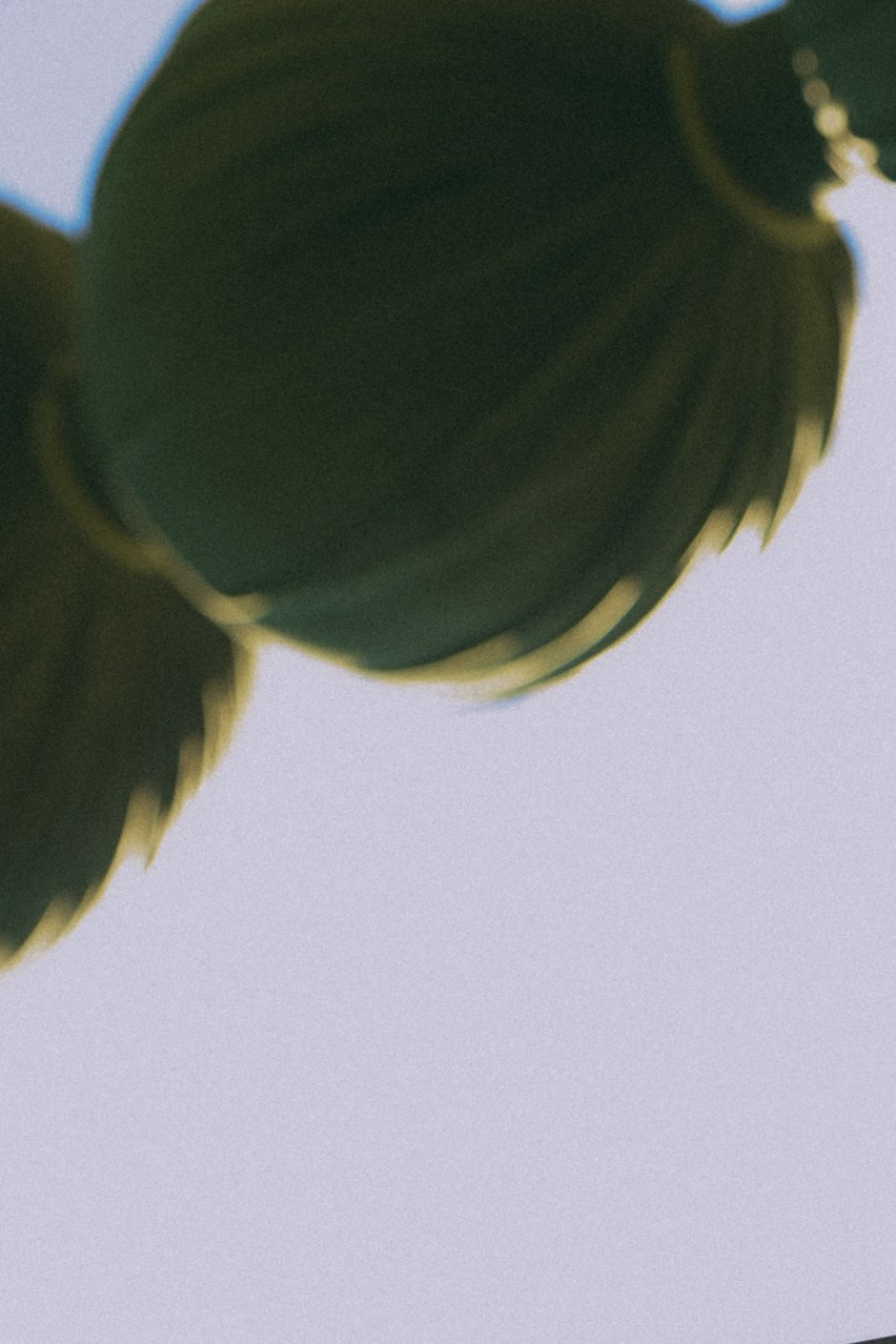 Илиан и Юля. Фотограф Нижний Новгород
