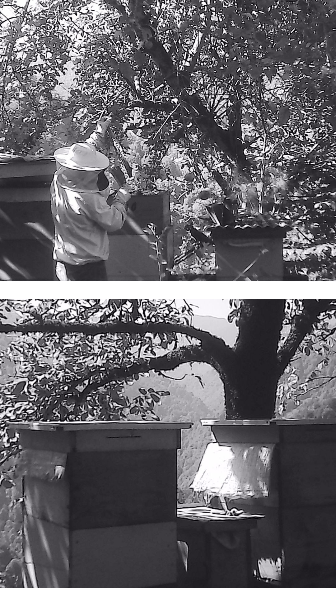 «Крошка 🐣». Anita_photo