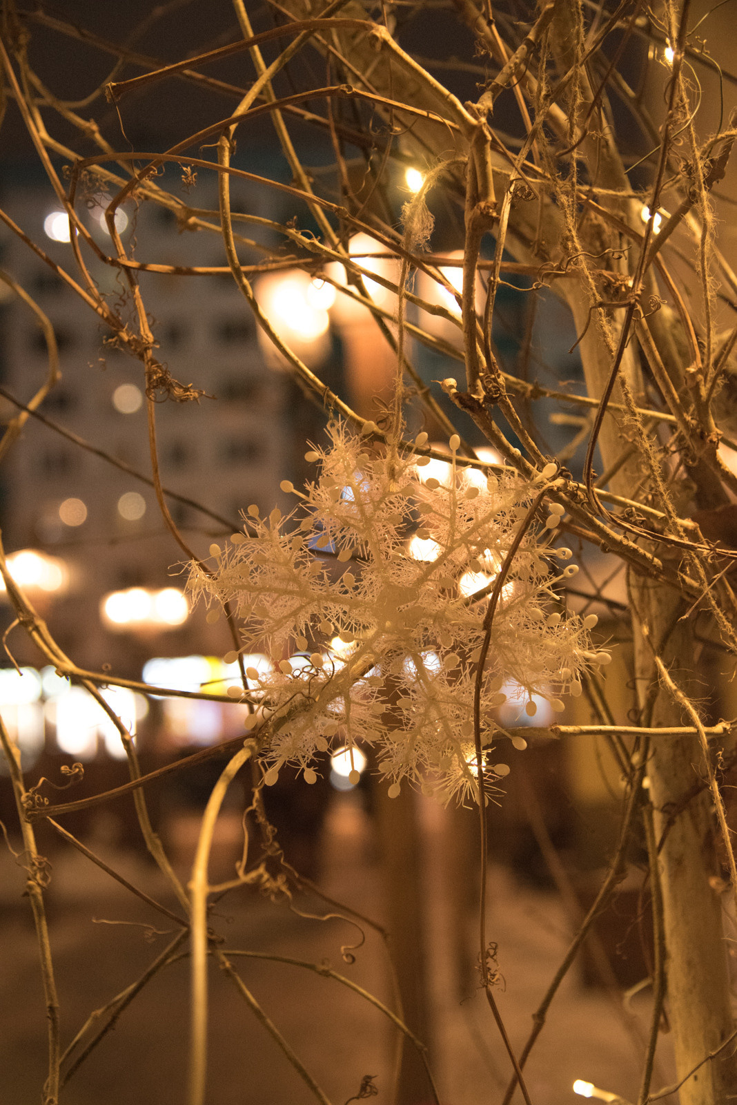 Новогодняя Калуга. Калужский городской фотоконкурс