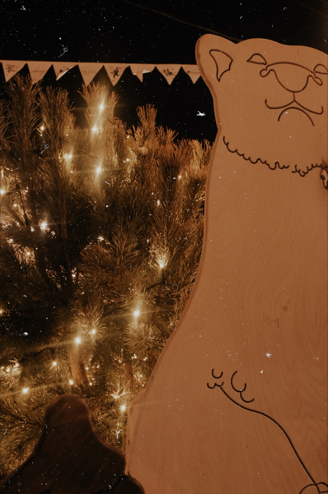 Новогодняя Калуга. Калужский городской фотоконкурс