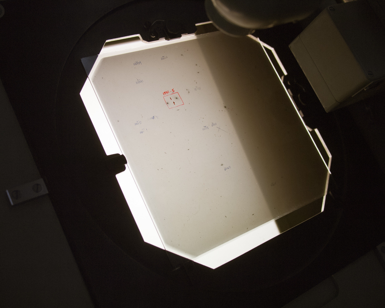 14. Фотографическая пластина телескопа АЗТ-16. Чили, 2015