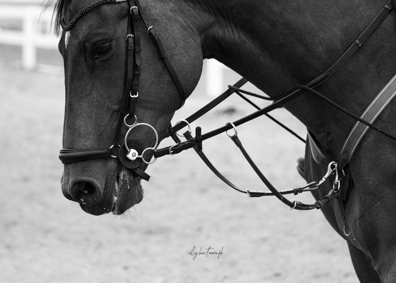 Соревнования. Фотограф в Иркутске, Харитонова Елизавета