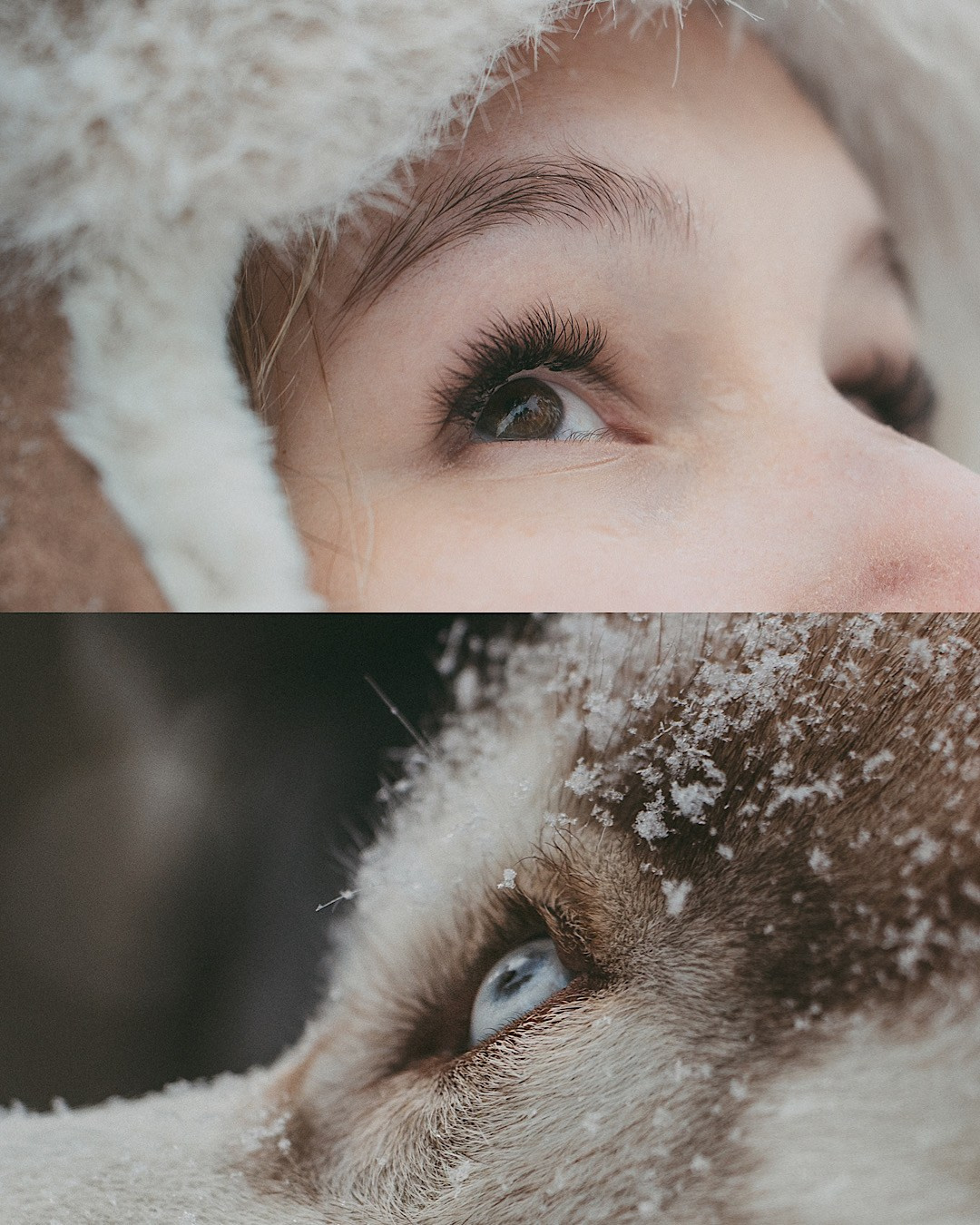 Полина, Уго и Пышка. Фотограф анималист в Москве и Санкт-Петербурге Свиридова Анна