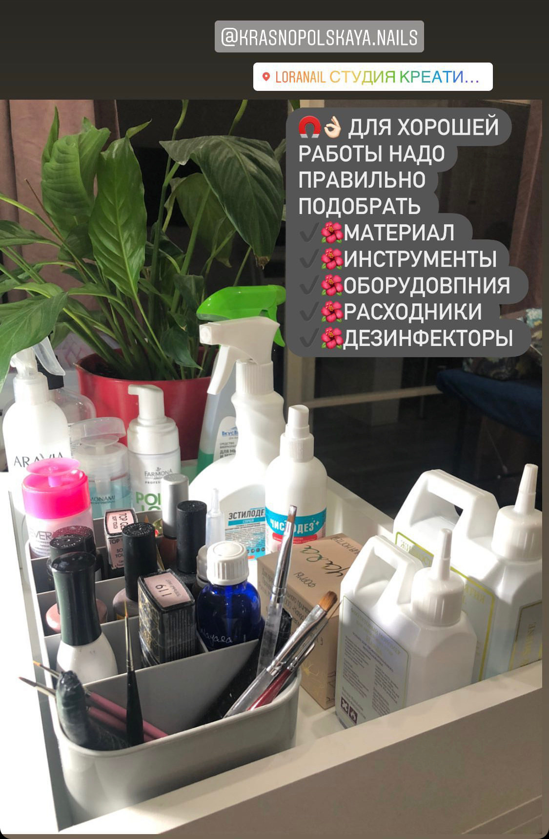 Санпин. 𝐋𝐎𝐑𝐀 𝐊𝐑𝐀𝐒𝐀 𝐍𝐀𝐈𝐋𝐒