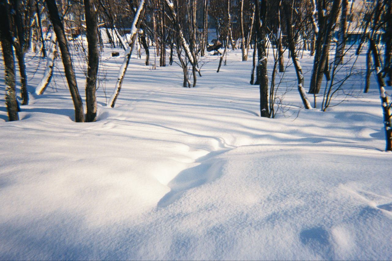 Пленочные кадры. Фотограф Алиса Аспер