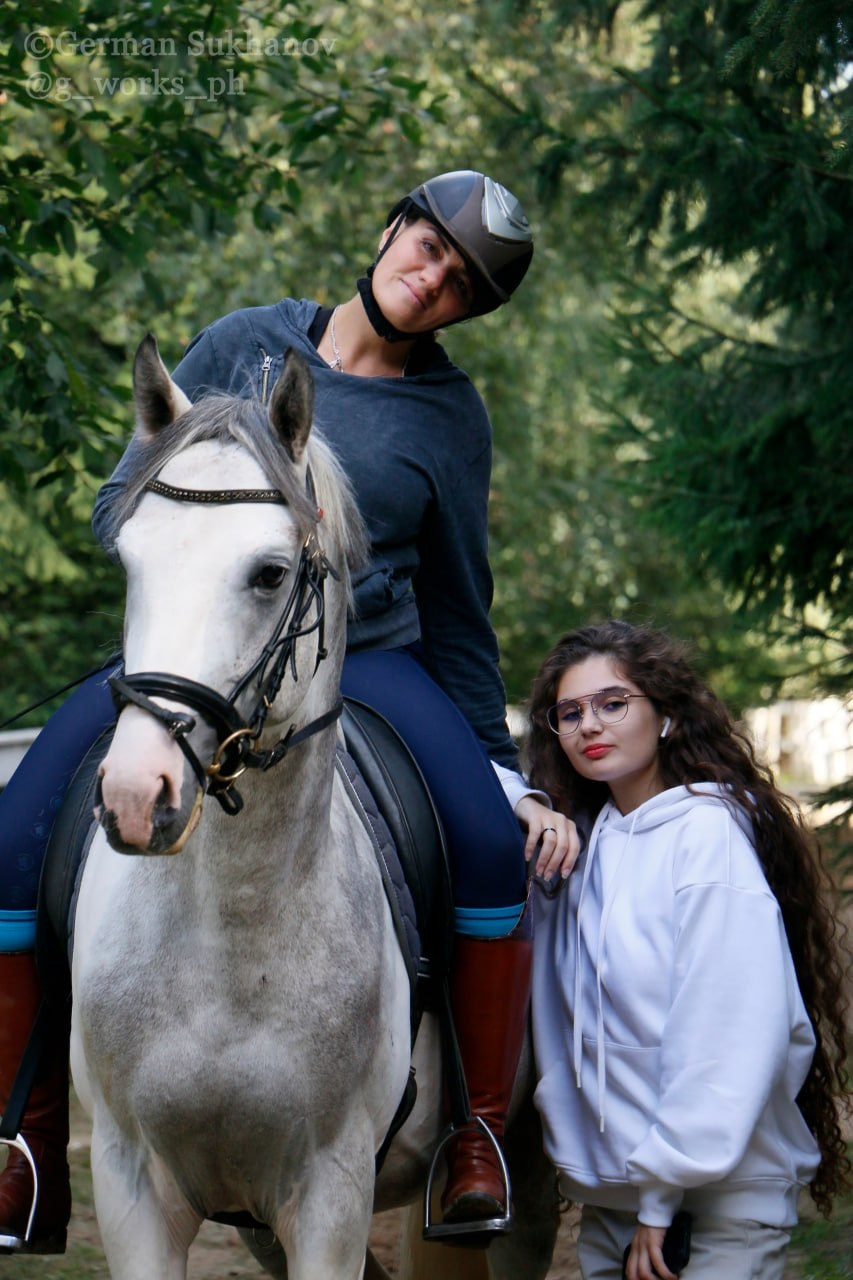 Horses. AVE CONCEPT by German S