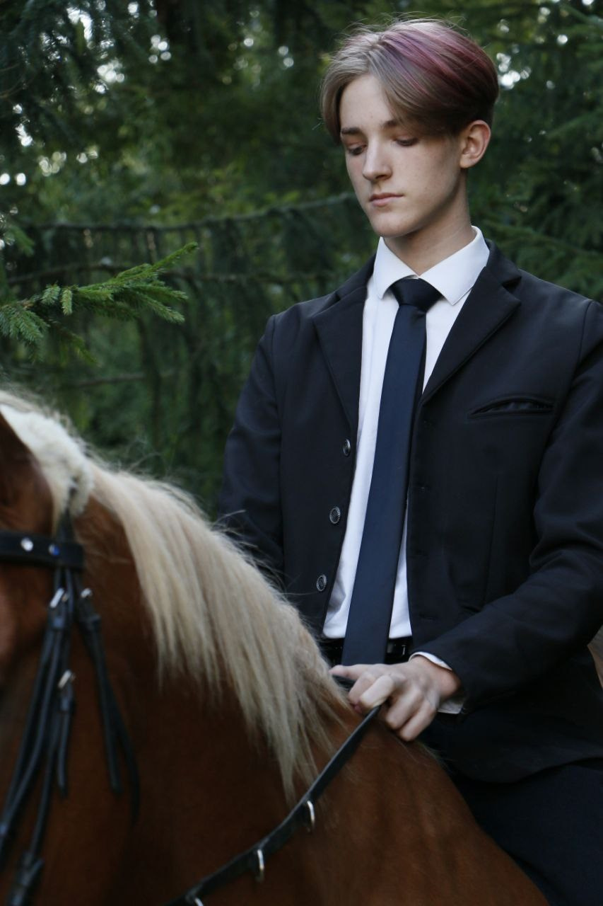 Horses. AVE CONCEPT by German S