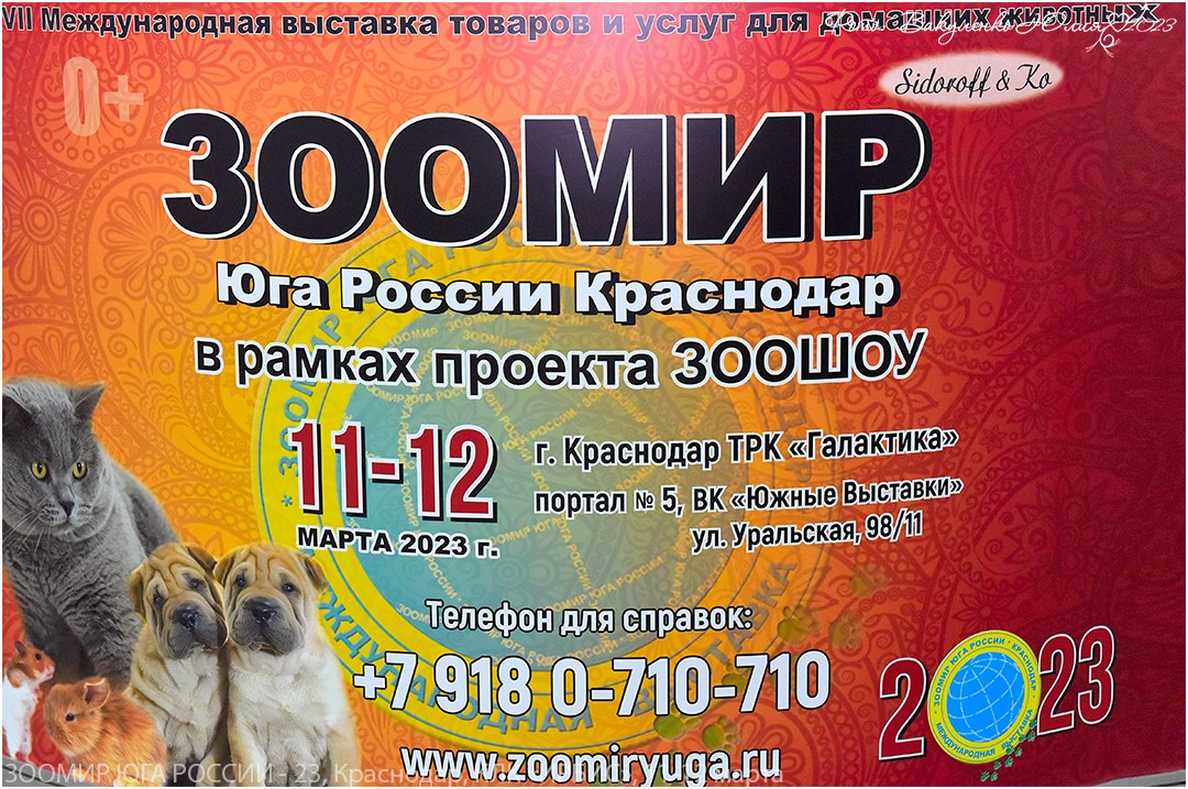 Репортаж. Фотограф анималист | семейный Юлия Вакуленко, г. Краснодар