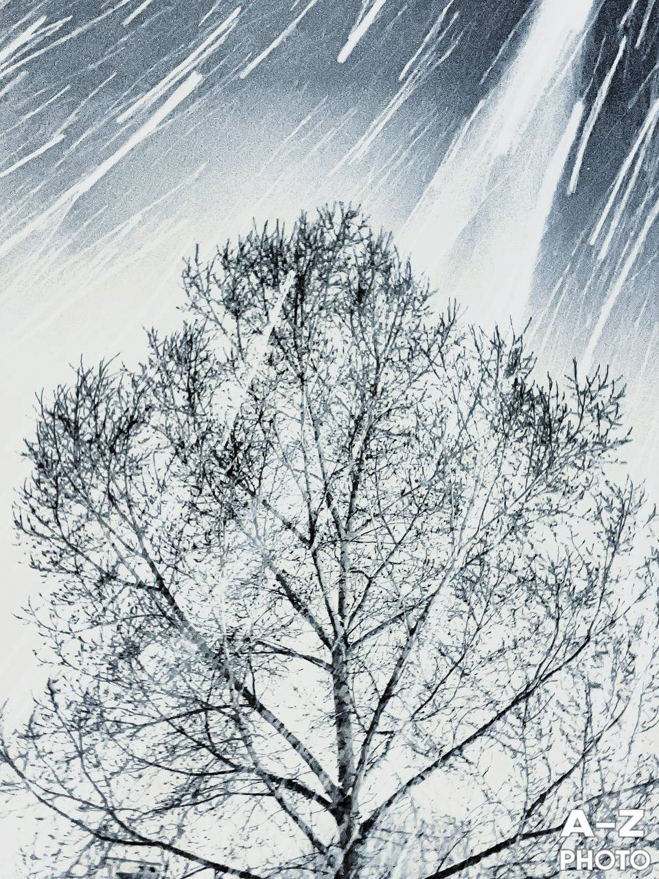 #ФОТОНЕДЕЛИ 26.01.2026. Женский семейный фотограф Тула Москва Захарова Анна