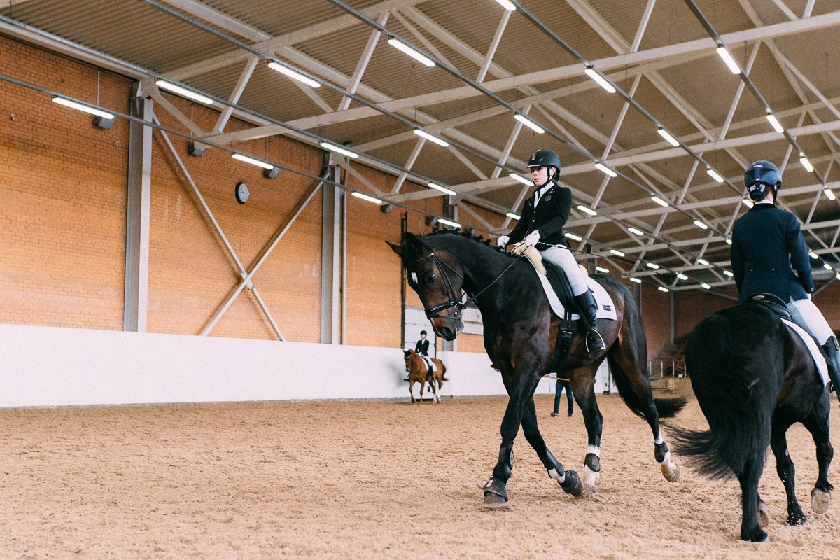 Выездка КСК «Дерби». Репортажный и семейный фотограф в Санкт-Петербурге Тарас Марченко