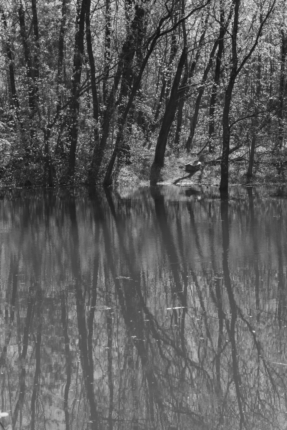 There is a branch in my shoulder. Maria Barakova