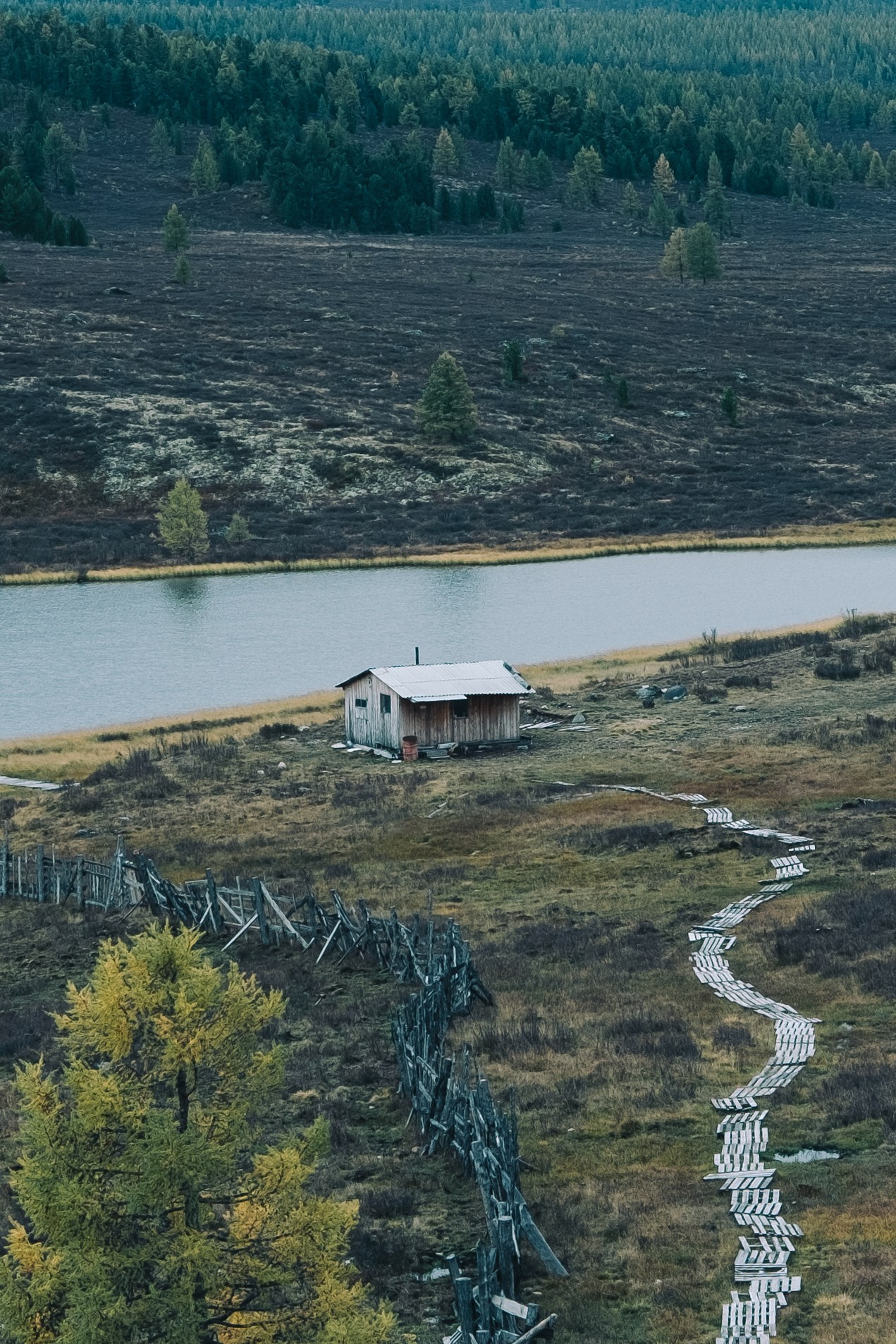 Алтай (мобилография). Фотограф в Москве, в Самаре Инна Мамонова