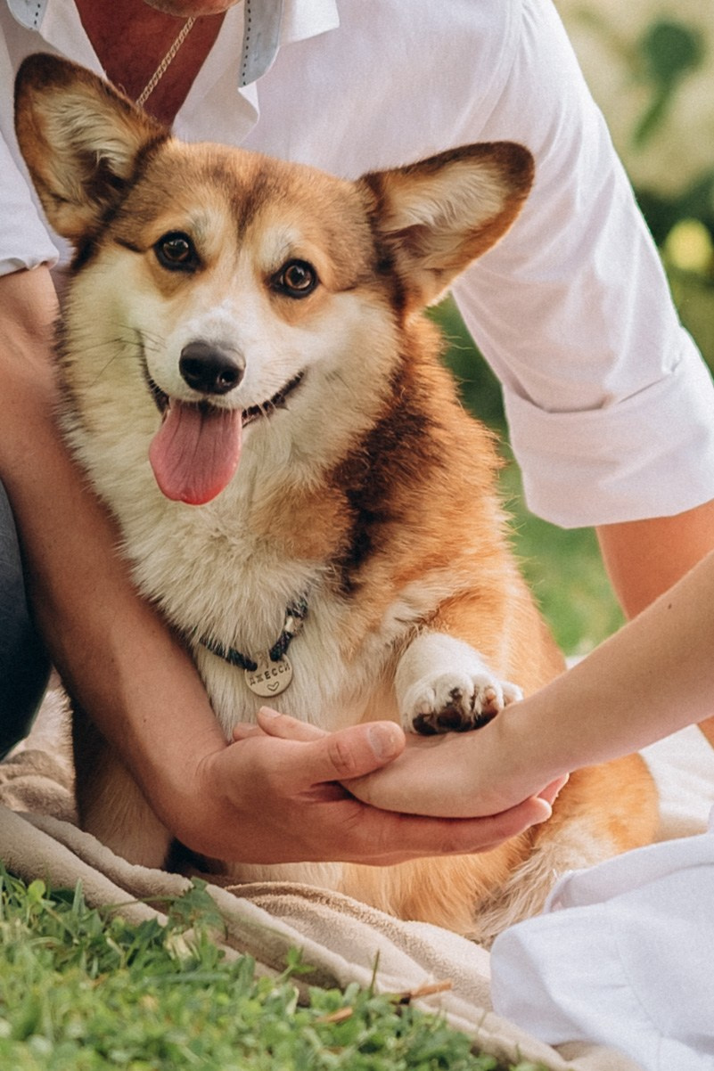 Прогулка в Ботаническом саду. Кристина Ветрова | ФОТОГРАФ | Москва