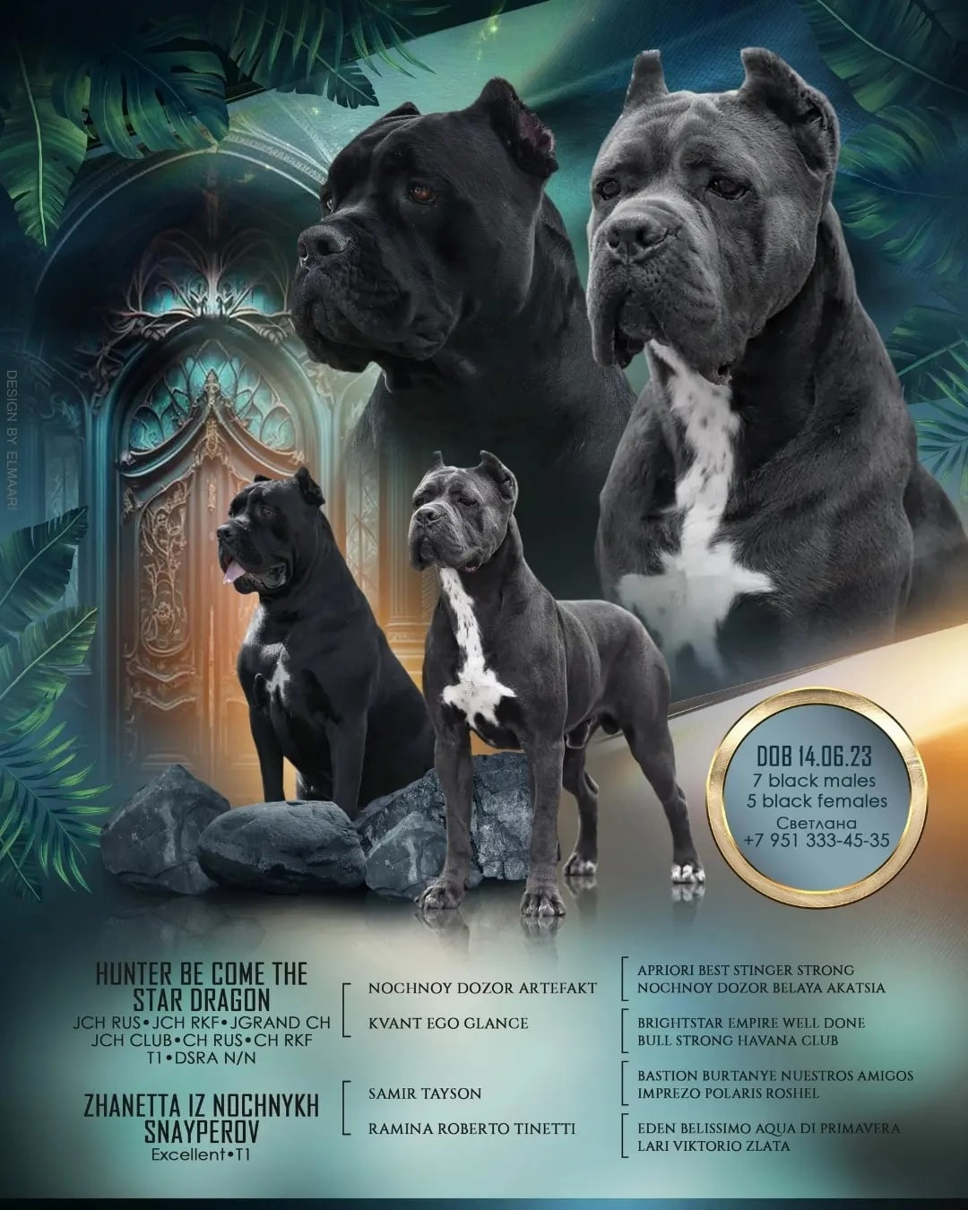 Презентации из моих фото. Фотограф. Фотограф-анималист. Москва