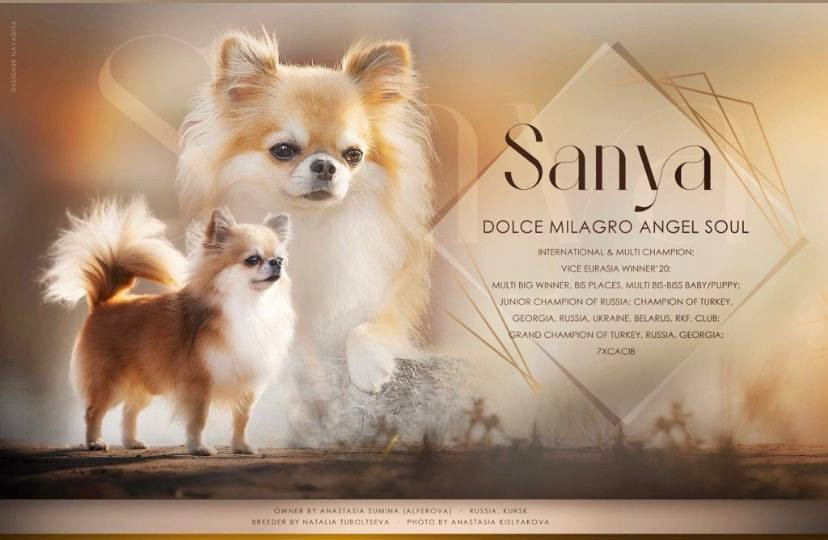 Презентации из моих фото. Фотограф. Фотограф-анималист. Москва