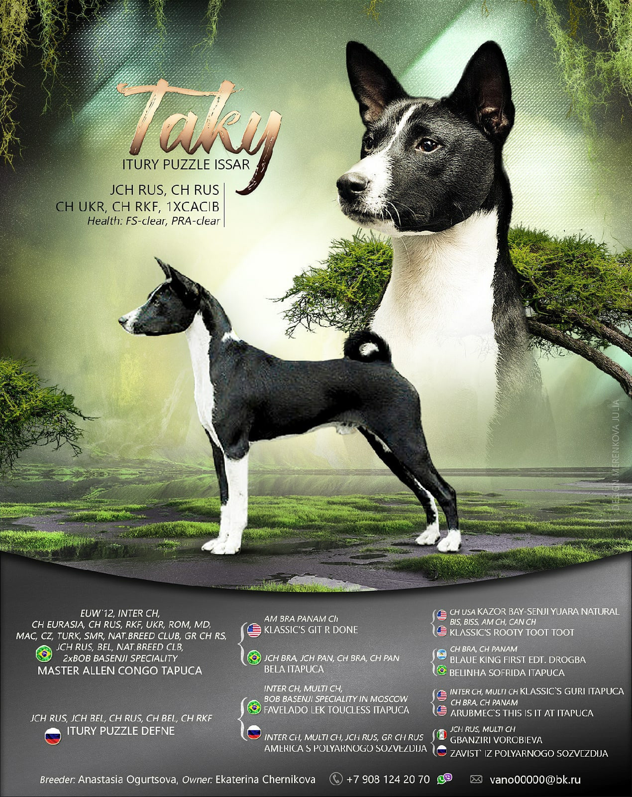 Презентации из моих фото. Фотограф. Фотограф-анималист. Москва