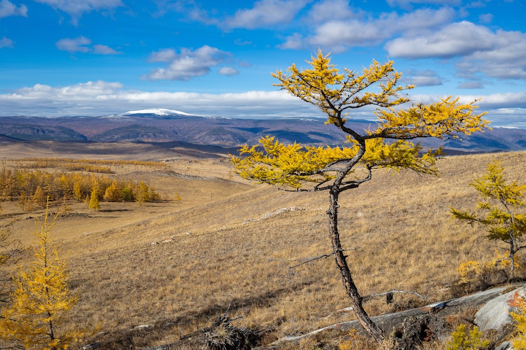 Тажеранская степь. Илья Буянов, гид по Байкалу, фотограф — baikalsky.com