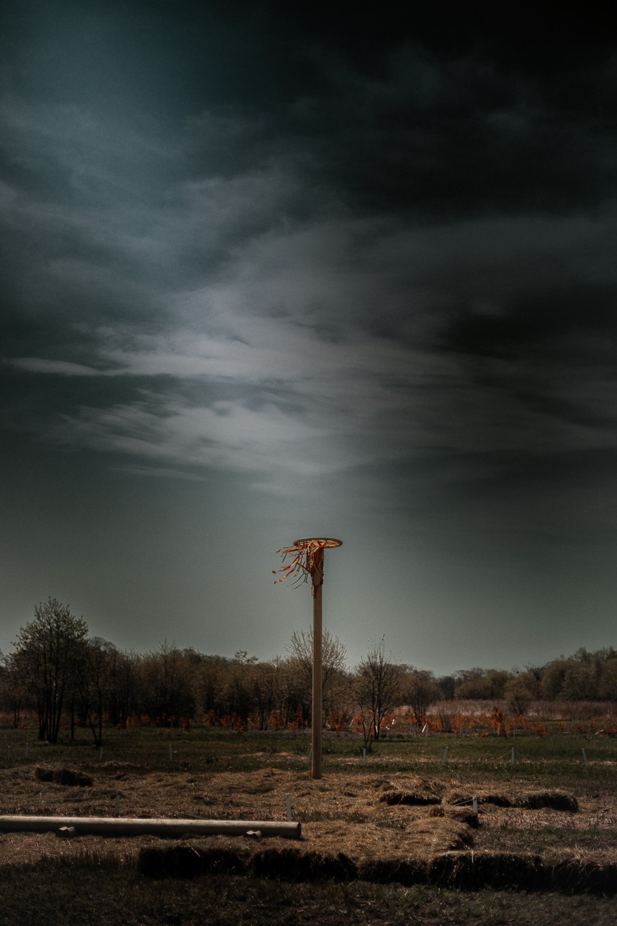 Ферма Альпак Владивосток. Oskar Dallas — professional photographer in Moscow