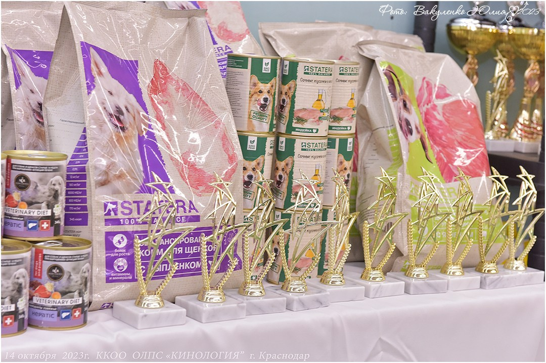 Репортаж. Фотограф анималист | семейный Юлия Вакуленко, г. Краснодар