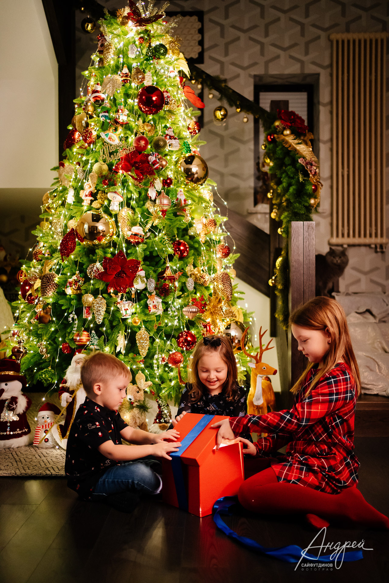 Домашняя новогодняя семейная фотосессия. Свадебный и семейный фотограф в Ростове-на-Дону. Андрей Сайфутдинов