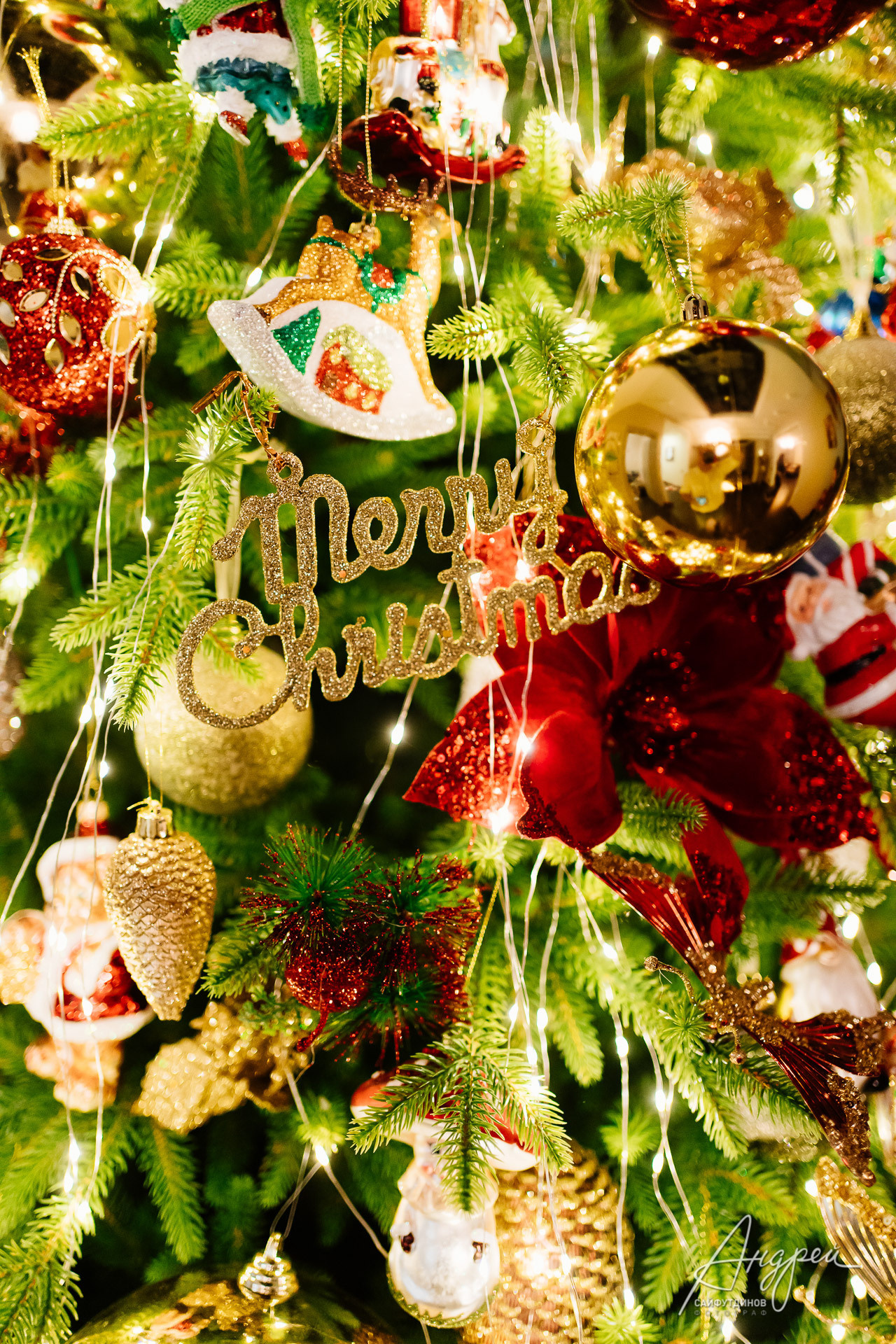 Домашняя новогодняя семейная фотосессия. Свадебный и семейный фотограф в Ростове-на-Дону. Андрей Сайфутдинов