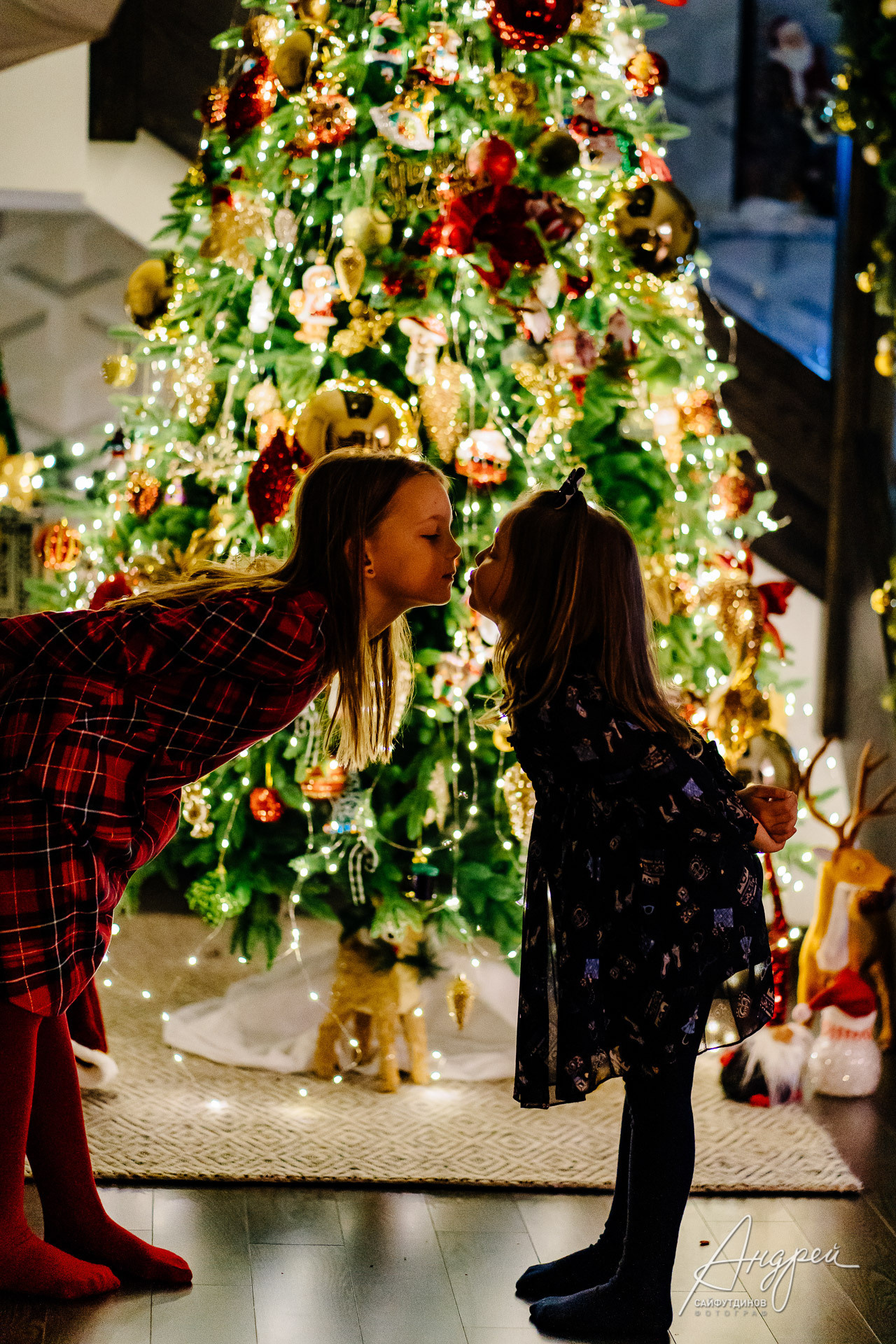 Домашняя новогодняя семейная фотосессия. Свадебный и семейный фотограф в Ростове-на-Дону. Андрей Сайфутдинов