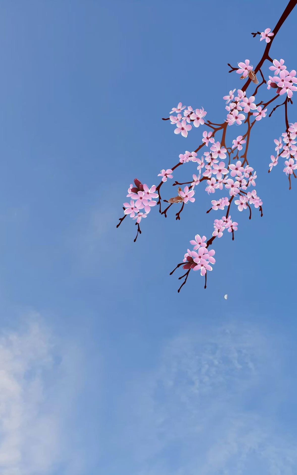 Travel photoshoot under cherry blossoms Dongbaek Island Busan. 釜山樱花观赏地点指南 韩国春季樱花景点