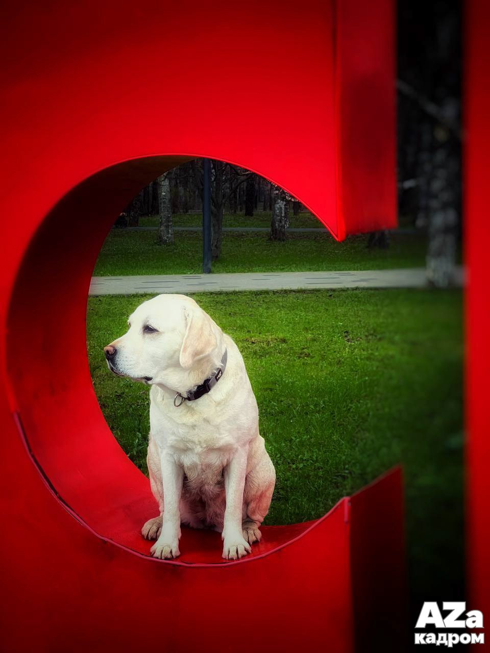 AZакадром «В поисках красного». Женский семейный фотограф Тула Москва Захарова Анна
