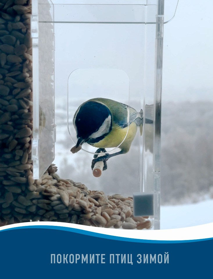 ДОМИК. Кормушки для птиц на окно Чирик-Чирик