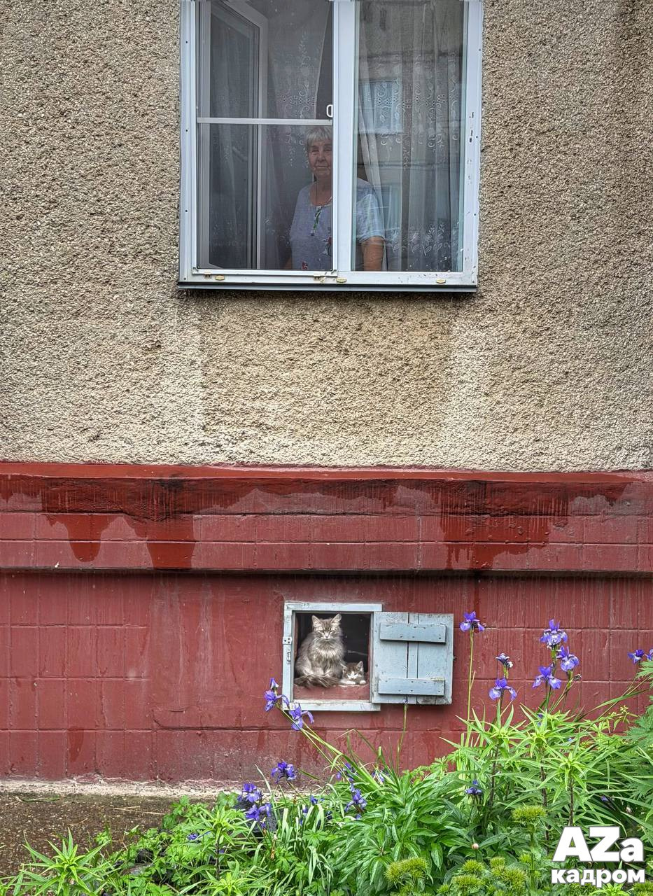 AZакадром «Фотофанты 08.06.2026»