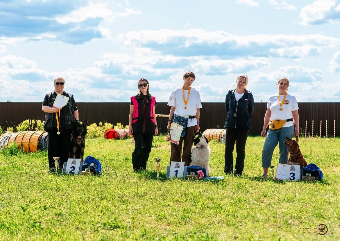 Карныш. BLGKV питомник собак