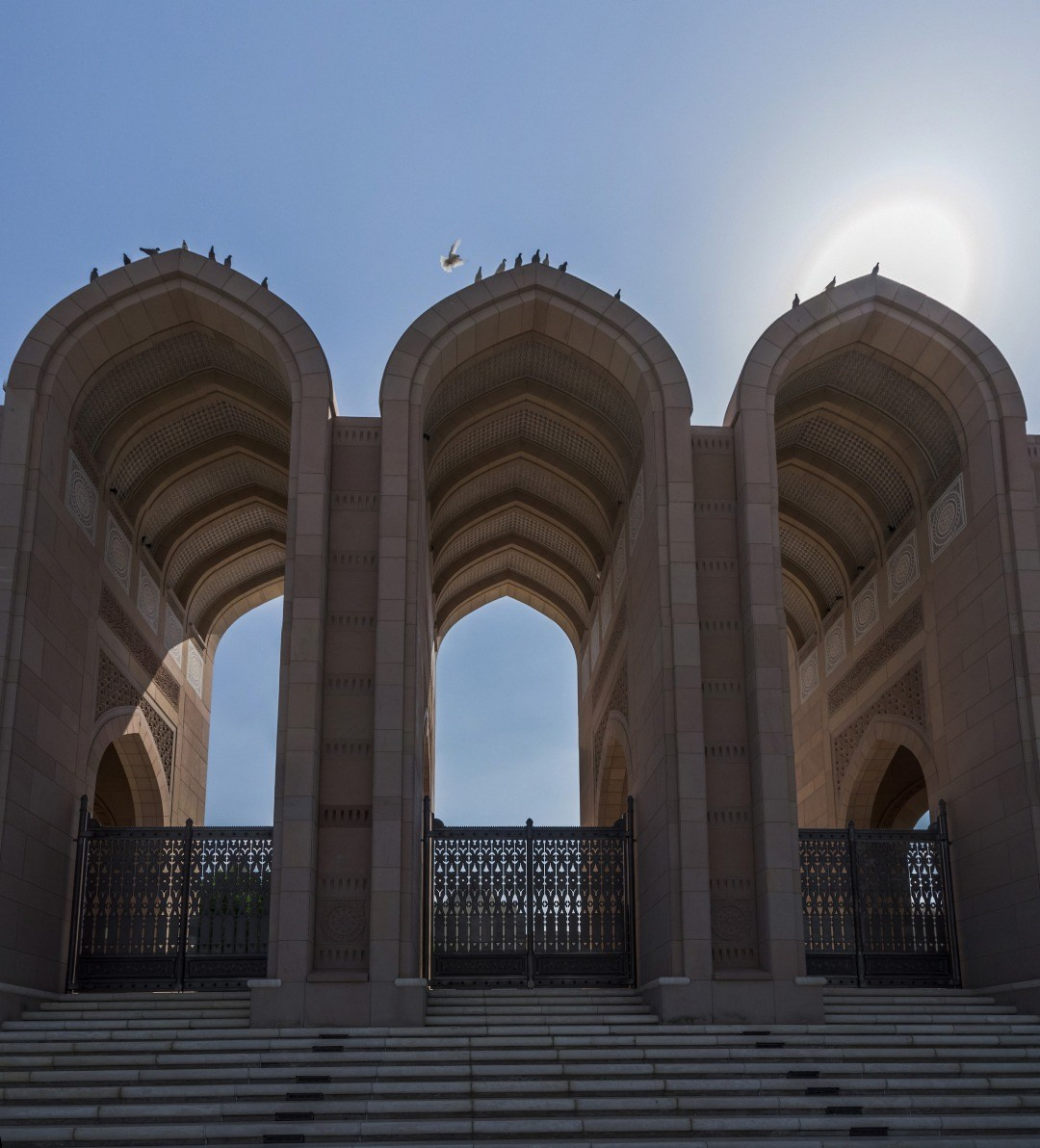 Muscat. Фотограф Лара Кучина
