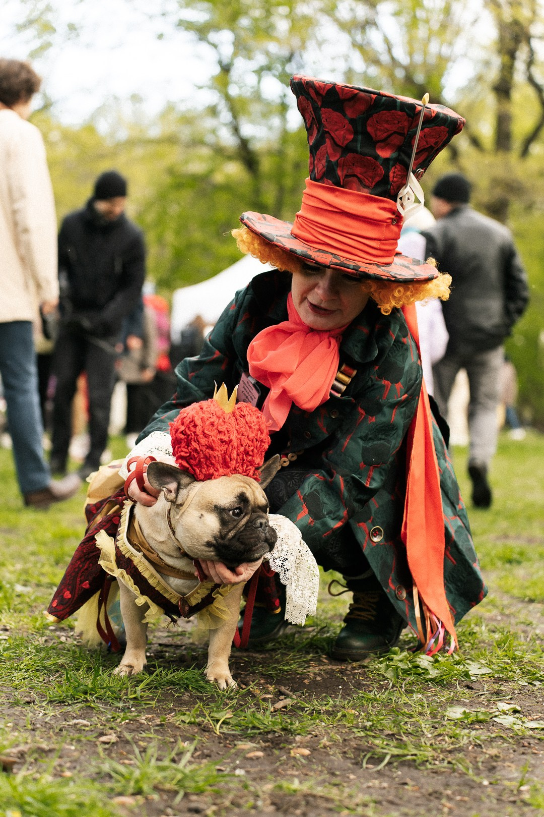 Парад Бульдогов. Axenov_eugene