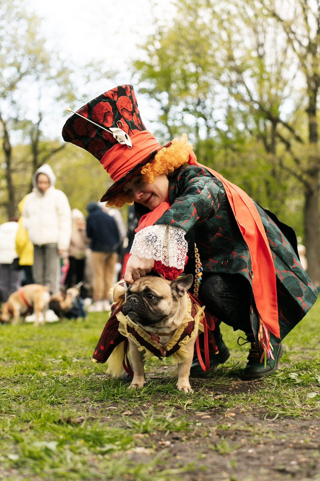 Парад Бульдогов. Axenov_eugene