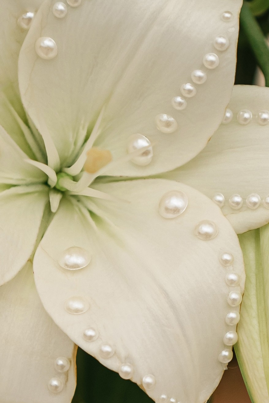 М&Н. Свадебный и семейный фотограф в Славянске-на-Кубани Прохорова Алёна