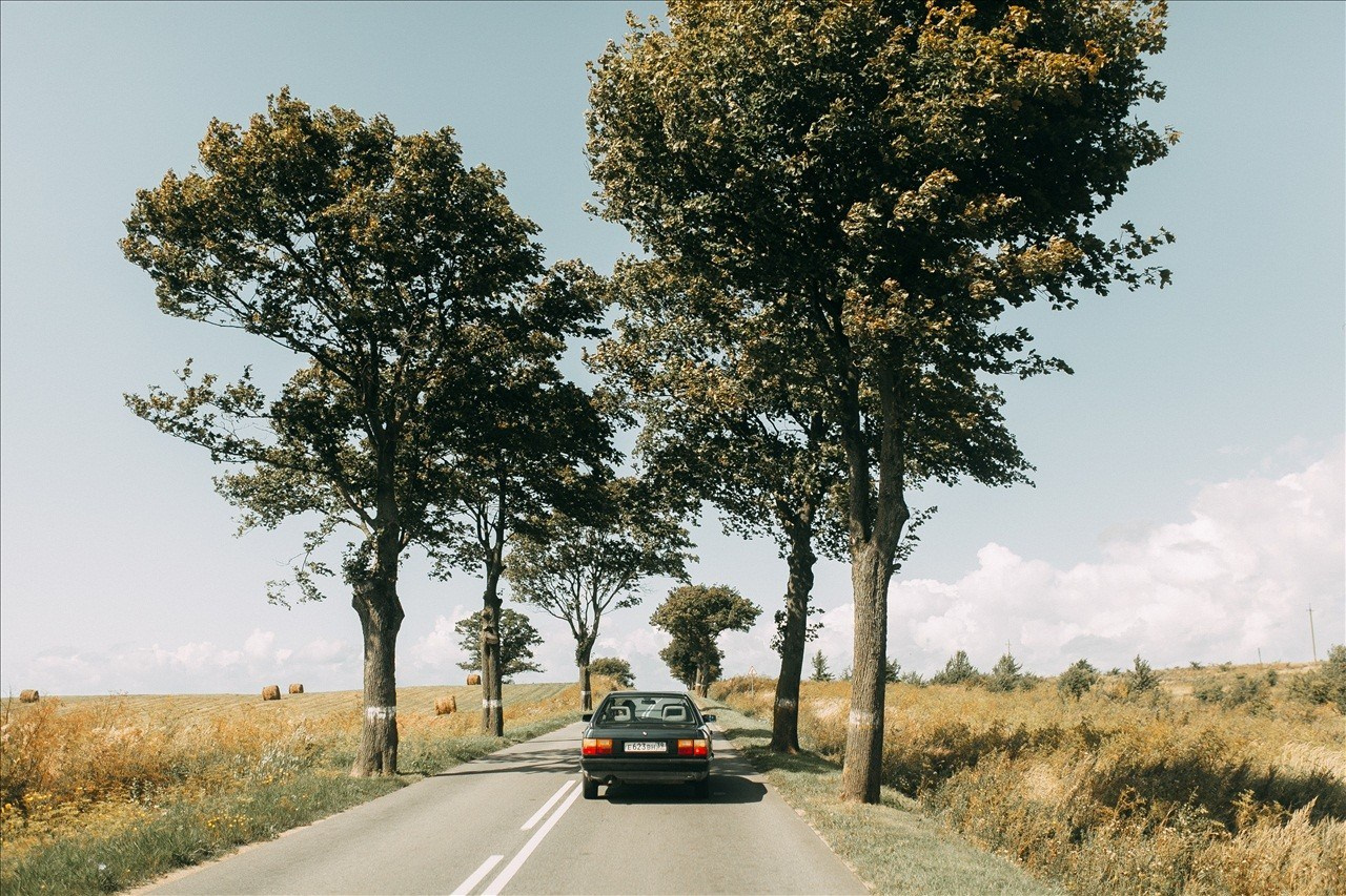 Осенний Кенигсберг