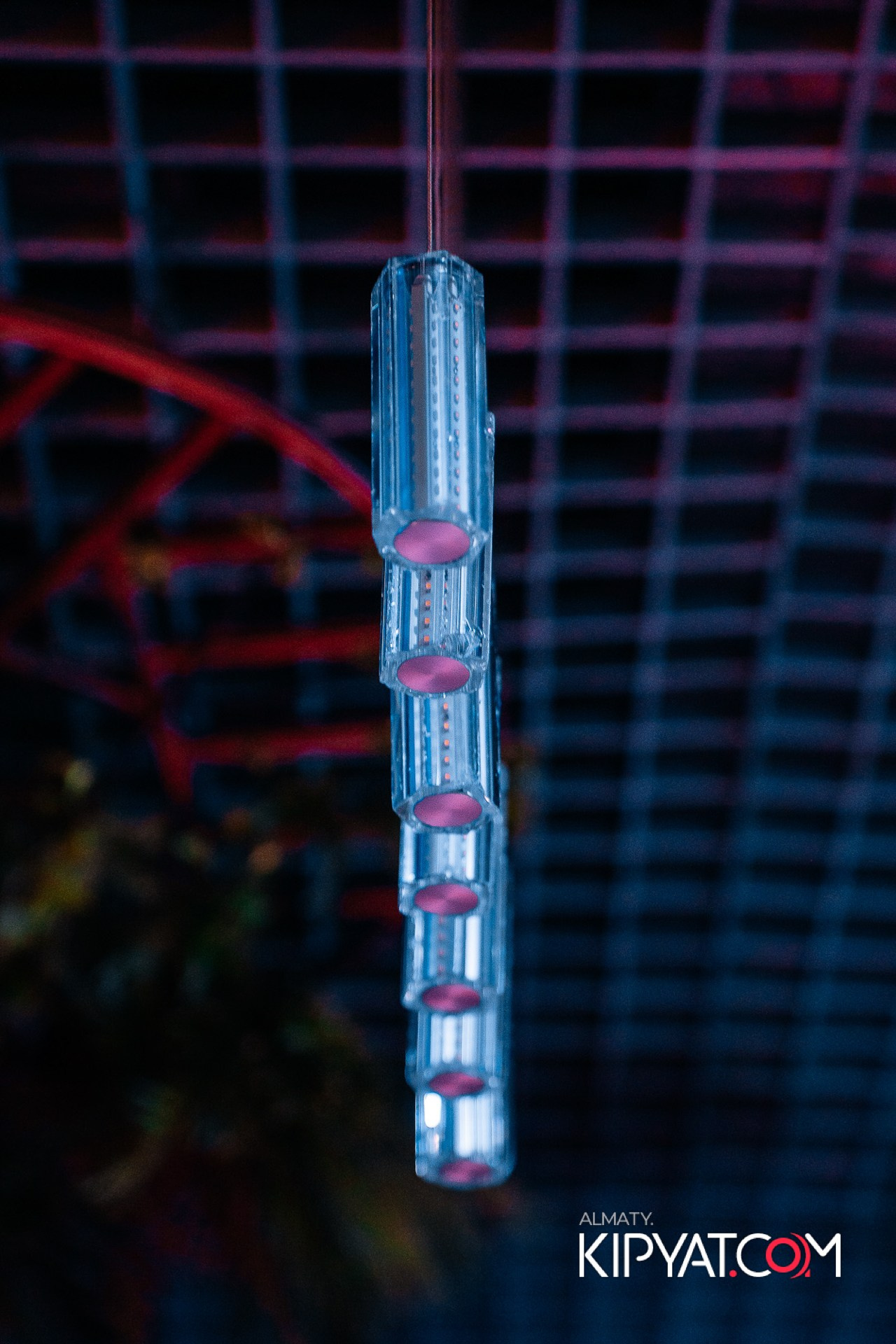 УХО И МЕДВЕДЬ НА КУРМАНГАЗЫ. КИПЯТКОМ АЛМАТЫ!