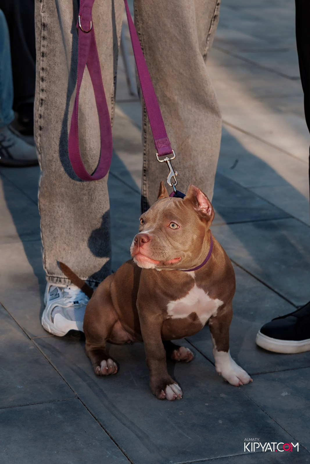 ОТКРЫТИЕ BOX PARK. КИПЯТКОМ АЛМАТЫ!