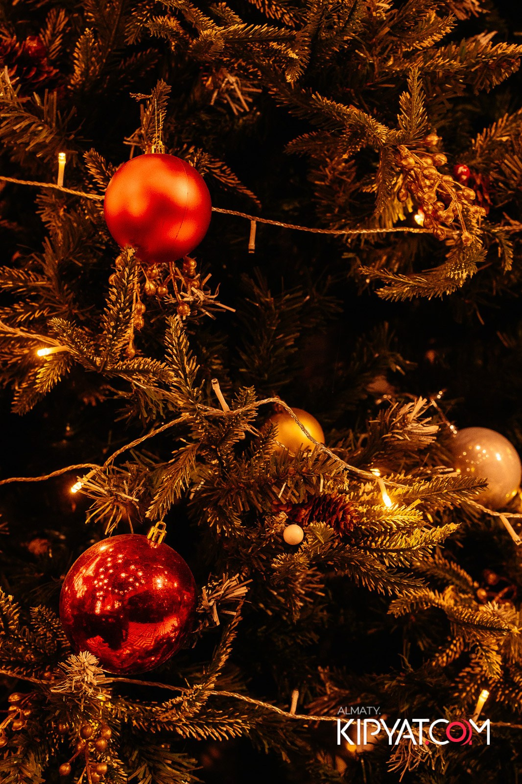 ZIYAFET MEAT HOUSE. КИПЯТКОМ АЛМАТЫ!