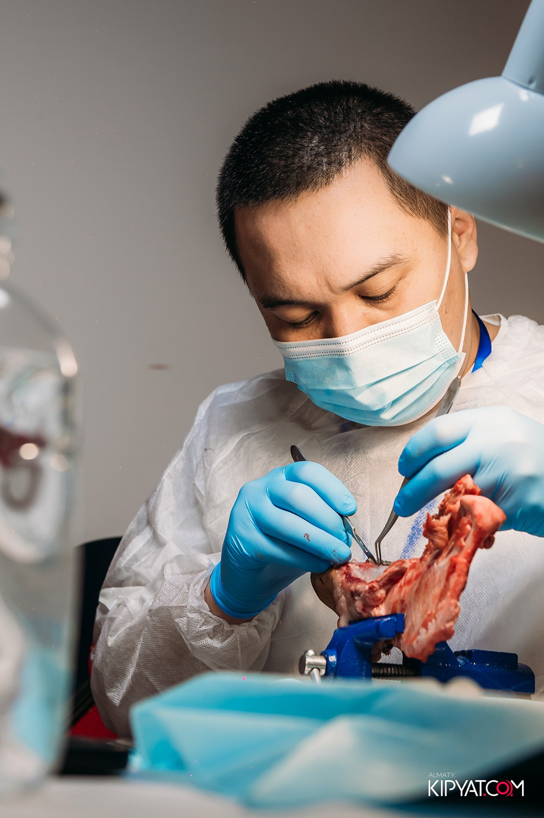 КУРС ДЛЯ СТОМАТОЛОГОВ ОСЛОЖНЕНИЯ В ХИРУРГИЧЕСКОЙ ПРАКТИКЕ КТО ВИНОВАТ И ЧТО ДЕЛАТЬ. КИПЯТКОМ АЛМАТЫ!