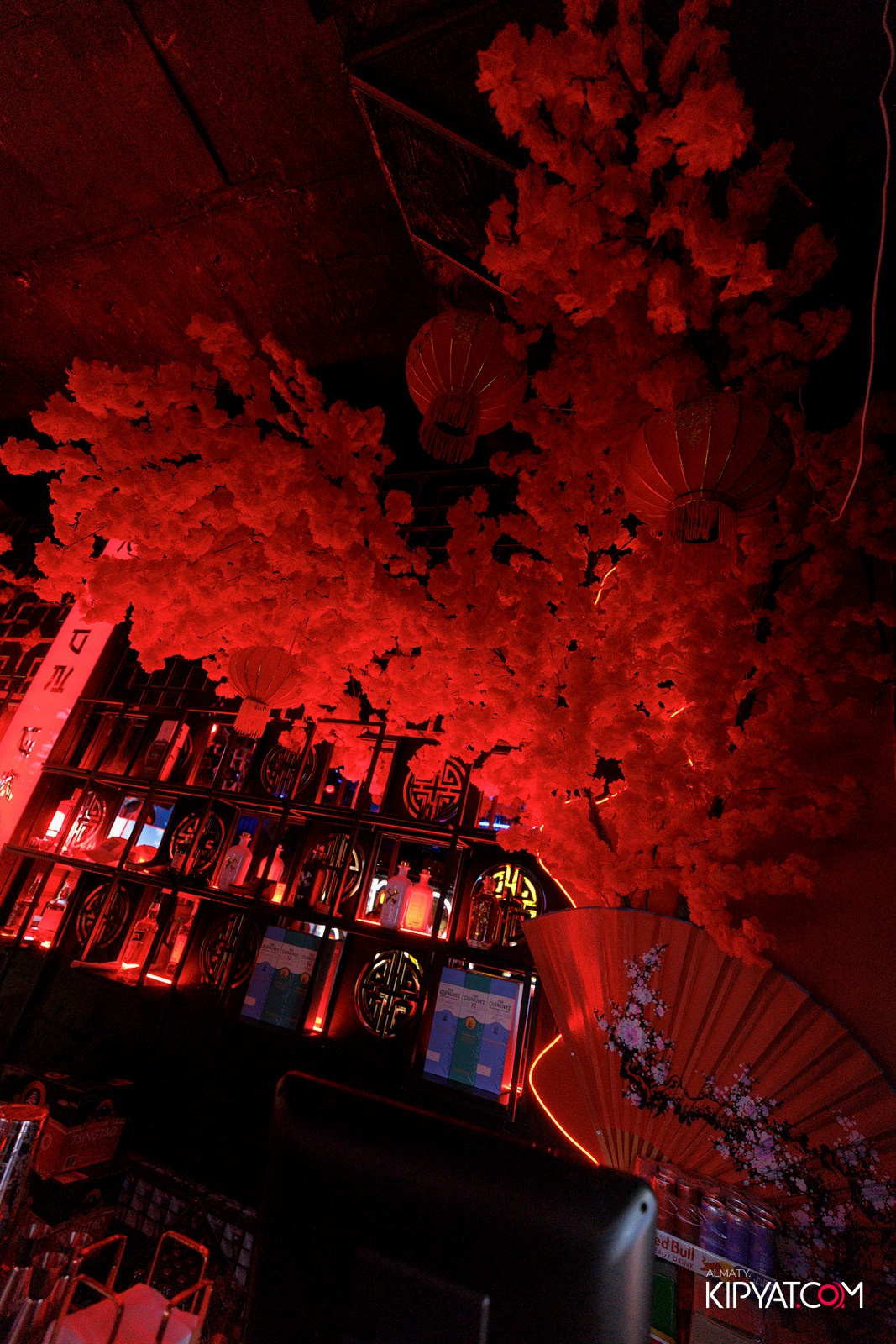 SHANGHAI 88 BAR. КИПЯТКОМ АЛМАТЫ! Фотосъемка мероприятий в Алматы