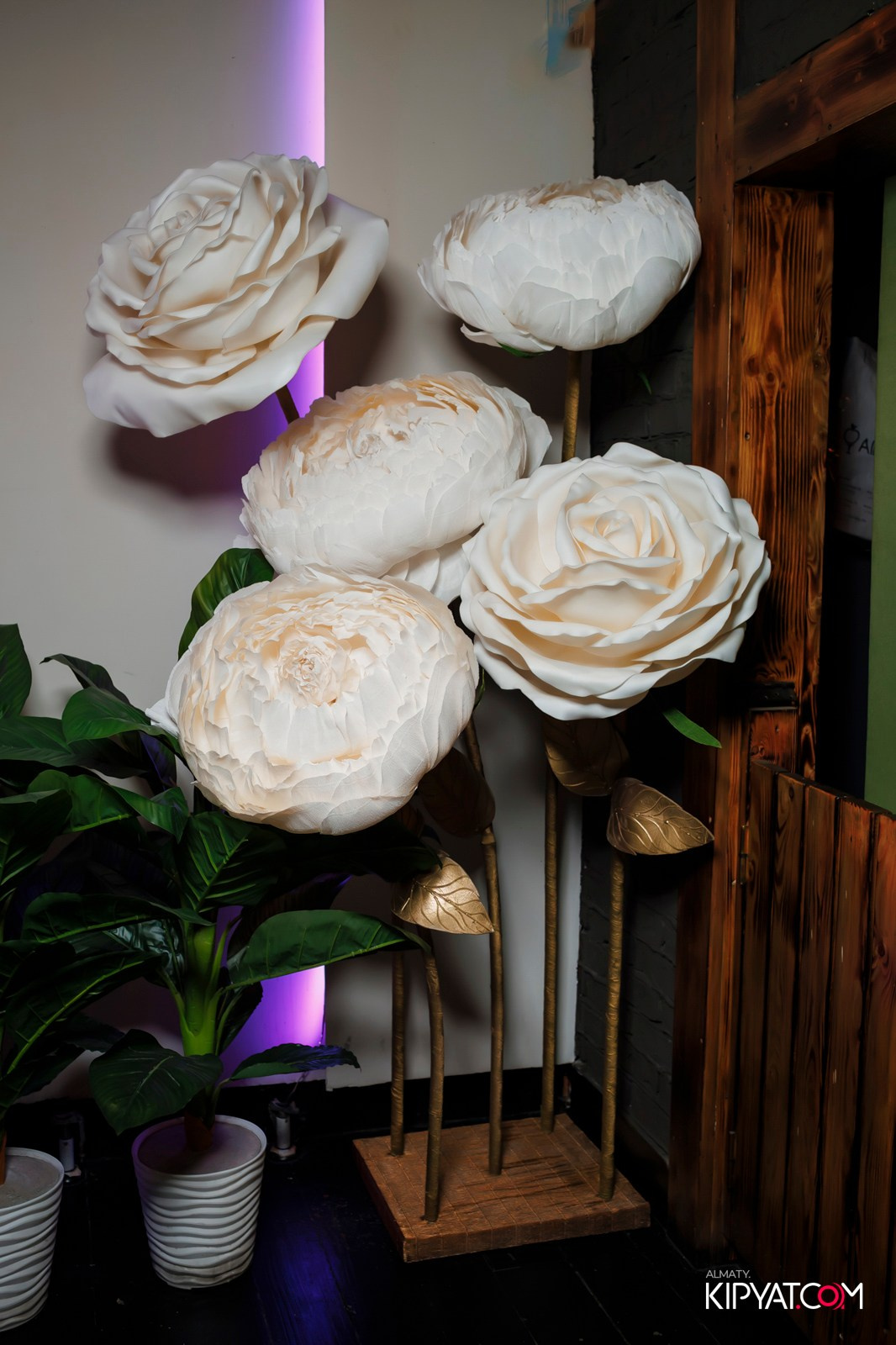 MYATA LOUNGE SEIFULLINA. КИПЯТКОМ АЛМАТЫ! Фотосъемка мероприятий в Алматы